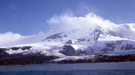 Введенные Трампом пошлины затронули острова, где живут только пингвины и тюлени