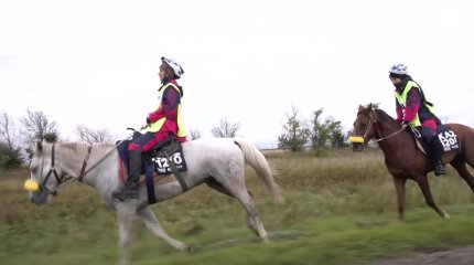 "Ұлы дала жорығы" марафон-бәйгесі басталады