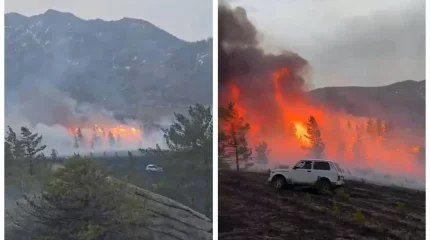 Павлодар облысында алапат өрт шықты