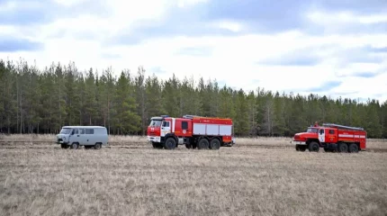 Абай облысындағы өрт: 400 гектар орман алқабы жанып кетті