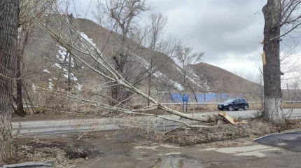 В ВКО ликвидируют последствия ураганного ветра