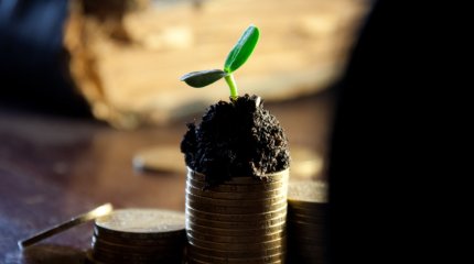 Выгодные сделки ждут Весов, испытания для организма готовят звёзды Стрельцам: гороскоп на 7 апреля