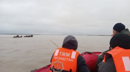 Лошадей унесло паводковыми водами в Акмолинской области