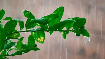 Ауа райы минус 5 градусқа дейін суытады – синоптиктер ескерту жасады