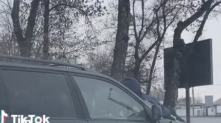 Шымкентца отправили в тюрьму за «поездку» с полицейским на капоте