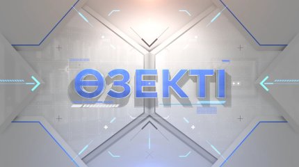 «Әкім қабылдауына кіргеннен аспанға ұшқан оңай», - тұрғын