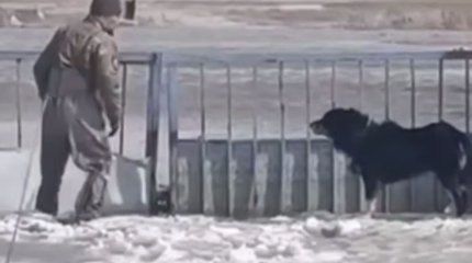 Спасенный кусался: необычную спецоперацию провели в затопленном  Акмолинском селе