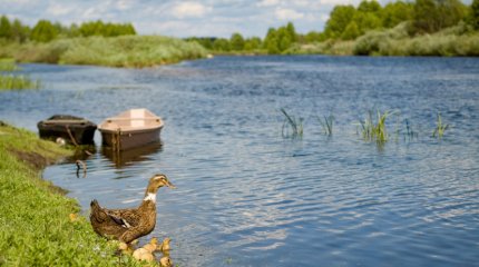 Жаркий и сухой май прогнозируют синоптики в Казахстане