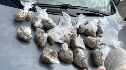 Алматы облысында есірткі қолданған ер адамның көлігінен кептірілген қарасора табылды