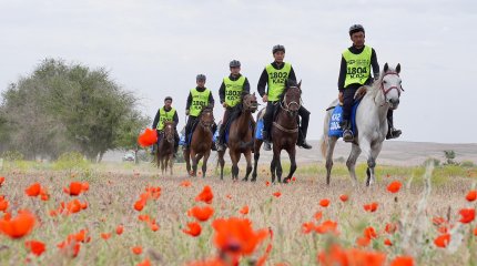 Определены итоги первого дня «Ұлы дала жорығы»