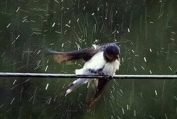Дожди, град, бури: штормовое предупреждение объявлено на большей части Казахстана в понедельник