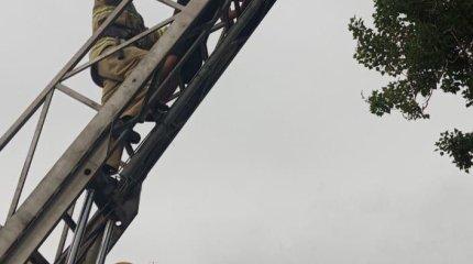 Жителя Есика прошлось снимать с дерева из-за дрона