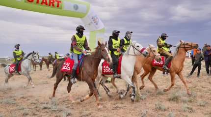 МЕЖДУНАРОДНЫЙ МАРАФОН-БАЙГЕ  «ҰЛЫ ДАЛА ЖОРЫҒЫ – 2025»: ИТОГИ ВТОРОГО ДНЯ