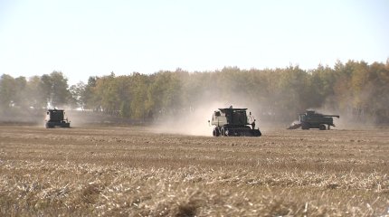 Казахстанские аграрии рискуют потерять часть урожая из-за засухи