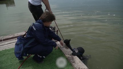 Труп утонувшего мужчины нашли павлодарские спасатели спустя месяц