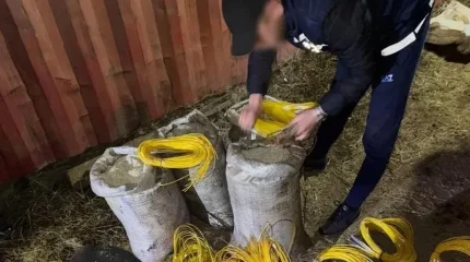 ҰҚК қызметкерлері  жарылғыш заттарды тапты