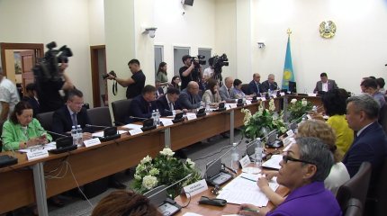 «Стукачи» или общественные помощники? Депутат Дементьева раскритиковала инициативу МВД