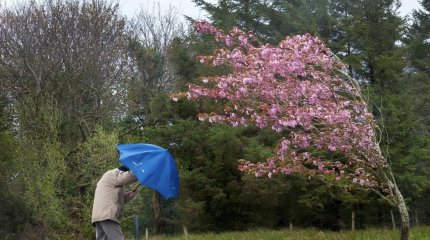 Грозы и сильный ветер обрушатся на все мегаполисы Казахстана в воскресенье, 18 мая