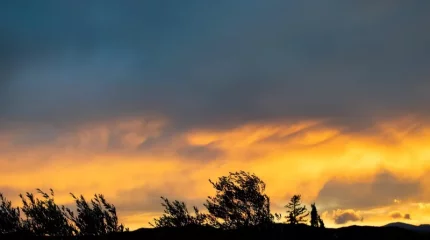 Жел, шаңды дауыл: Түркістан мен Шымкентте күн құбылып тұр