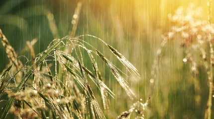 Дождем зальет Казахстан 19 мая