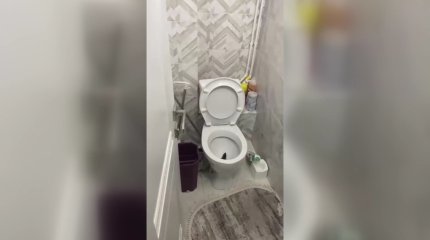 Қарағандыда егеуқұйрық қаптады