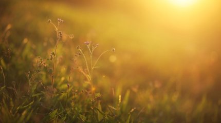 Вспышка произошла на Солнце