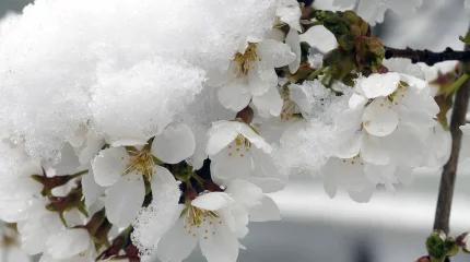 Ливни, град, снег обрушатся на Казахстан в выходные