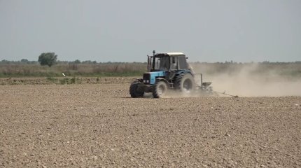 Түркістан облысында күріш еккісі келген мақташылар тығырыққа тіреліп тұр