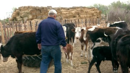 Қызылордада «Жер аманаты» жобасы шаруашылық жұмысын жандандыруға сеп болды