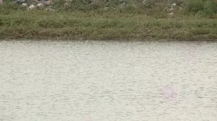 Қазақстанда суды заңсыз пайдаланғандарға жауапкершілік күшейеді