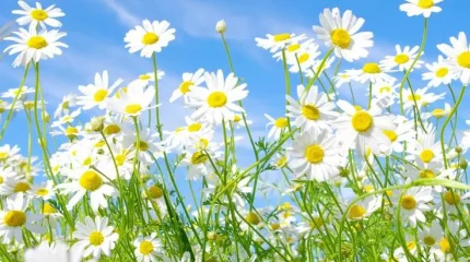 Повышение температуры до +38 прогнозируют в Казахстане в среду, 21 мая