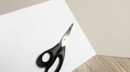 16 жастағы жігіт танысының арқасына қайшы тығып алғаны үшін сотталды