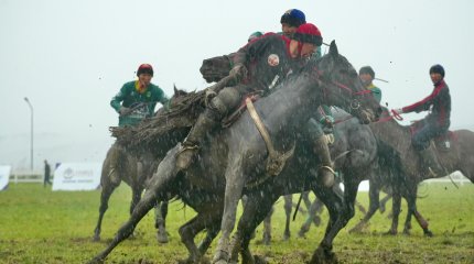 Жамбыл облысы көкпардан ел чемпионы атанды