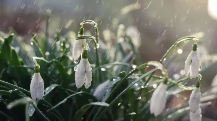 Найзағай ойнап, жаңбыр жауады: барлық дерлік өңірде дабылды ескерту жарияланды