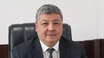 Таразда шенеунік жарты млрд теңге ұрлаймын деп 4 жылға сотталды