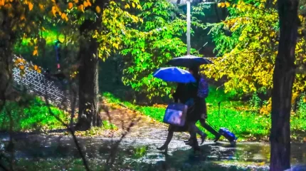 Алматыда жаңбырдан кейін су тасқыны болуы мүмкін – ТЖД