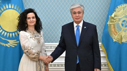 Токаев обсудил сотрудничество с главой Зеленого климатического фонда