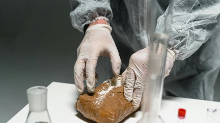 Шымкентте марихуана өндіретін фитозертхана анықталып, 83 шелек есірткі тәркіленді