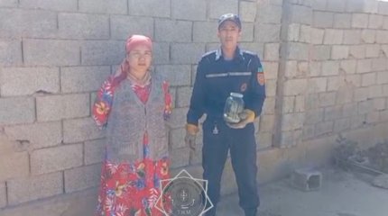 Шымкентте тұрғын үйден жылан шықты