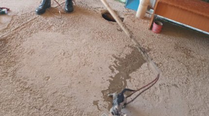 Котёнка спасли из канализации в Кызылорде