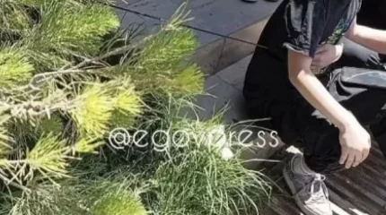 Шымкентте көшеде өтіп бара жатқан жасөспірімге садақ оғы тиген