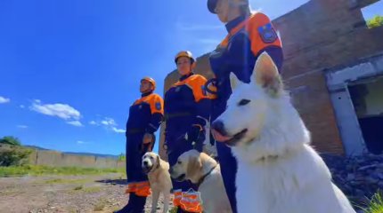 Собаки-спасатели прошли аттестацию в ВКО