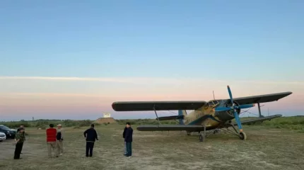 880 мың гектарға жуық егіс алқабын шегіртке жайлады