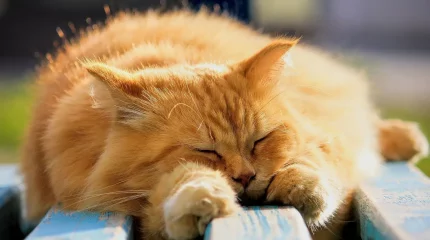 Тепло идет на смену холодам в Казахстане