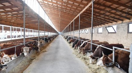 Биыл ауыл шаруашылығы санағы өтеді