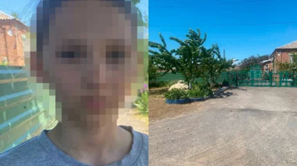 Зейнеткер шие ұрлаған балаларға оқ жаудырды