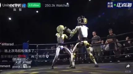 Күресетін деңгейге жетті: Қытайдағы екі роботтың боксы талқыланып жатыр