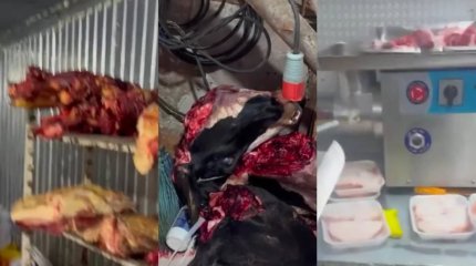 Астанада жасырын ет цехтары әшкереленді