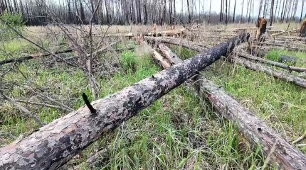 Қостанайда Мәжілістің Экология мәселелері және табиғат пайдалану комитетінің көшпелі отырысы өтті