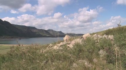 Завозной случай клещевого энцефалита выявили в Павлодаре